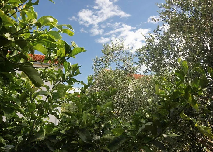 Σπίτι διακοπών House With A Parking Space Orebic, Peljesac - 9482