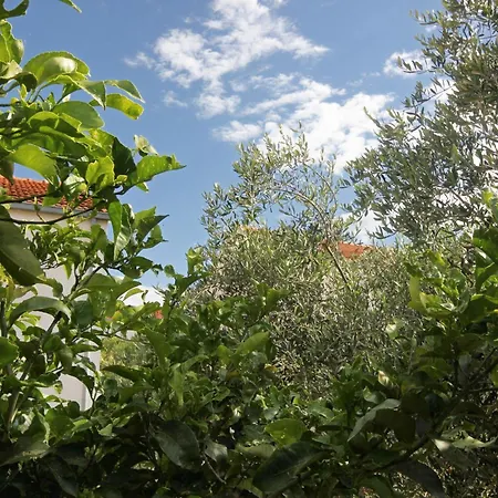 Сasa de vacaciones House With A Parking Space Orebic, Peljesac - 9482